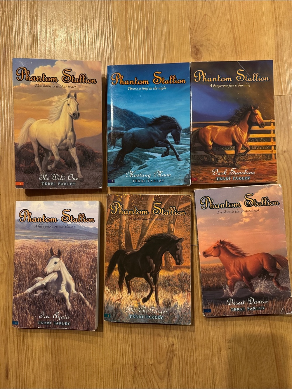 Phantom Stallion series Paperback Book Set of 6